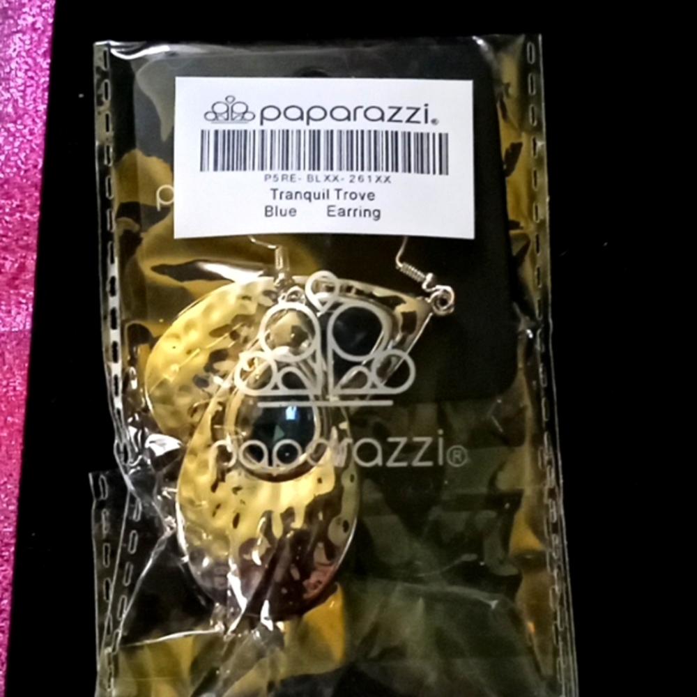 Paparazzi Silver Tone Earrings